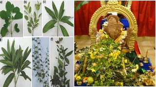 Vinayaka Chavithi: వినాయక చవితి సందర్భంగా మీ ప్రియమైనవారికి శుభకాంక్షలు తెలియజేయండి ఇలా..