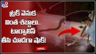 Viral News: పోలీసుల నుండి తప్పించుకోవటానికి భలే ట్రిక్‌ ప్లే చేశాడు.. ఇలా కూడా తప్పించుకోవచ్చన్న మాట…!