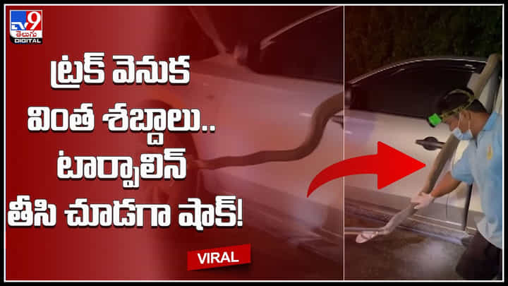 Viral video: ట్రక్ వెనుక వింత శబ్దాలు.. టార్పాలిన్ తీసి చూడగా షాక్.! గుండెధైర్యం ఉన్నవాళ్లే చూడండి..! Viral video: ట్రక్ వెనుక వింత శబ్దాలు.. టార్పాలిన్ తీసి చూడగా షాక్.! గుండెధైర్యం ఉన్నవాళ్లే చూడండి..!