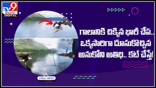 US dollars: అప్పడాల ప్యాకెట్స్‌లో యూఎస్‌ డాలర్లు.. ఎందుకో తెలుస్తే షాకే.. డాలర్లు తో పాటు ఇంకా..