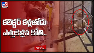 Pawan kalyan fan: ఇదెక్కడి పిచ్చిరా బాబు..! పవన్‌ పైకి అమాంతంగా దూకిన అభిమాని.. ట్రెండ్ అవుతున్న వీడియో.