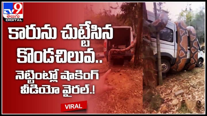 Shocking Video: వామ్మో కారునే చుట్టేసిన కొండచిలువ.. నెట్టింట్లో వైరల్ అవుతున్న షాకింగ్ వీడియో.. Shocking Video: వామ్మో కారునే చుట్టేసిన కొండచిలువ.. నెట్టింట్లో వైరల్ అవుతున్న షాకింగ్ వీడియో..
