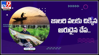 Leopad attack: ఏకంగా ఊరు మొత్తాన్నే వణికించేసింది.. అడ్డొచ్చిన వారందరిపై ఎటాక్ చేస్తూ.. దిమ్మతిరిగే వీడియో..