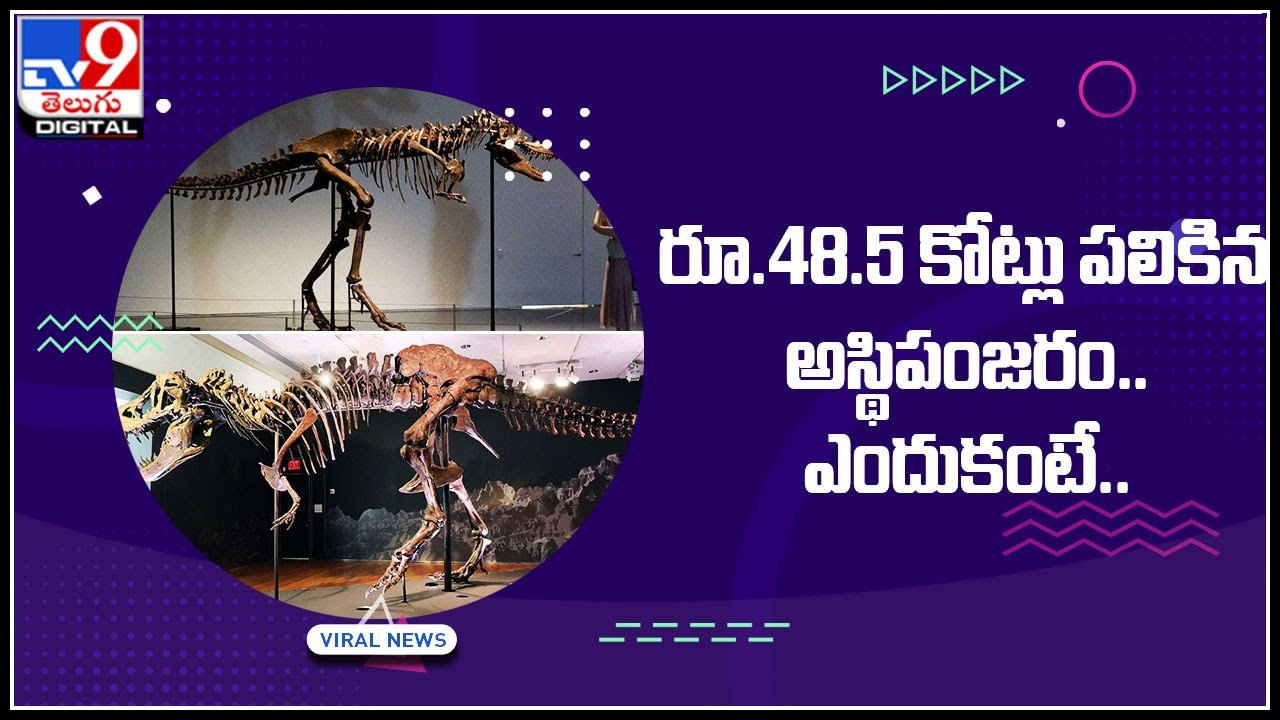 Skeleton: రూ.48.5 కోట్లు పలికిన అస్థిపంజరం.. ఎందుకో.? అందులోని స్పెషాలిటీ ఏంటో మీరే చూడండి...