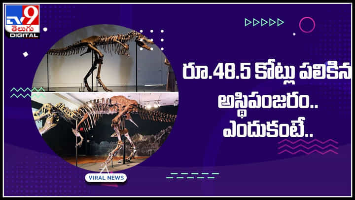 Skeleton: రూ.48.5 కోట్లు పలికిన అస్థిపంజరం.. ఎందుకో.? అందులోని స్పెషాలిటీ ఏంటో మీరే చూడండి... Skeleton: రూ.48.5 కోట్లు పలికిన అస్థిపంజరం.. ఎందుకో.? అందులోని స్పెషాలిటీ ఏంటో మీరే చూడండి...