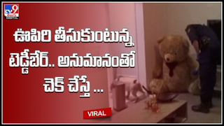 Shark fish attack: ఒడ్డుపై తల్లీ కుమారులు.. షార్క్‌కు ఆహారం పెట్టబోయి.. నీటిలో వేగంగా దూసుకువస్తున్న షార్క్..