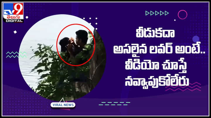 Super lovers: వీడుకదా అసలైన లవర్ అంటే.. ప్రేయసి తలలో పేలు చూస్తున్న అమరప్రేమికుడు.. Super lovers: వీడుకదా అసలైన లవర్ అంటే.. ప్రేయసి తలలో పేలు చూస్తున్న అమరప్రేమికుడు..