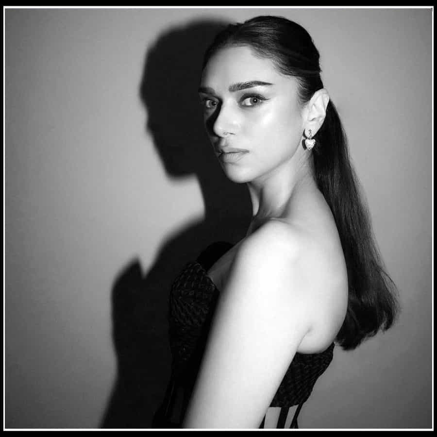 Aditi Rao Hydari: నేలపై నడిచే నెలవంకలా అందాల 'అదితిరావ్'..