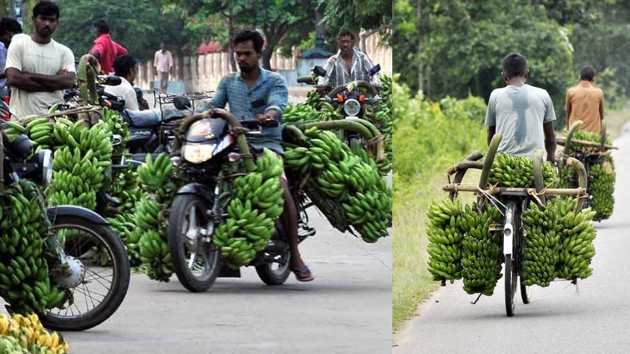 Konaseema: పండగ సీజన్, వరదలతో పెరిగిన అరటి ధర.. రైతులకు మోదం.. వినియోగదారులకు ఖేదం