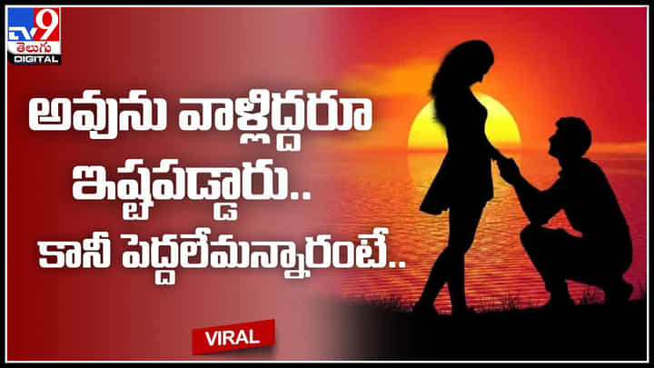 Viral Video: ఆంధ్ర అమ్మాయి.. అమెరికా అబ్బాయి.. అవును వాళ్లిద్దరూ ఇష్టపడ్డారు.. కానీ పెద్దలేమన్నారంటే.. Viral Video: ఆంధ్ర అమ్మాయి.. అమెరికా అబ్బాయి.. అవును వాళ్లిద్దరూ ఇష్టపడ్డారు.. కానీ పెద్దలేమన్నారంటే..