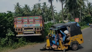 Toddy Palm Fruit: కోనసీమ జిల్లాలో సందడి చేస్తున్న తాటిపండ్ల వంటకాలు.. తింటే మైమరచిపోవాల్సిందే..