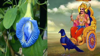 TTD: తిరుమల బ్రహ్మత్సవాలు ఈ ఏడాది ఎంతో ప్రత్యేకం.. సెప్టెంబర్ 27 న అంకురార్పణ