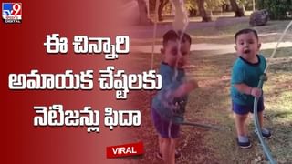 Viral Video: తీవ్రమైన కోపంతో వస్తువులను విసిరే ప్రయత్నంలో బాల్కనీ నుంచి కిందపడిన వ్యక్తి.. వీడియో వైరల్