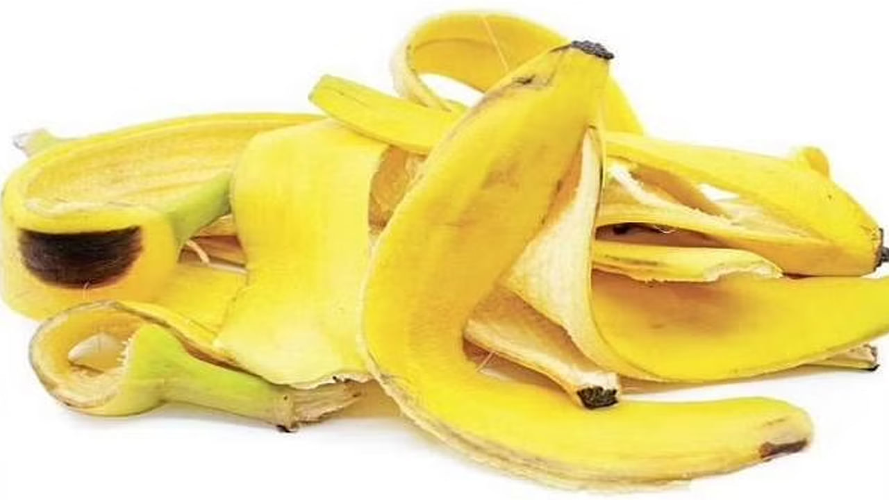 Banana Peel Benefits: అరటి తొక్కతో అదిరిపోయే ఆరోగ్య ప్రయోజనాలు.. తెలుసుకుంటే ఇక వేస్ట్ చేయరు..