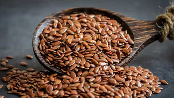 Flaxseeds Benefits: రోజూ ఈ గింజలను తింటే ఆ సమస్యలకు చెక్.. మధుమేహం నుంచి గుండె జబ్బుల వరకు అన్నీ..