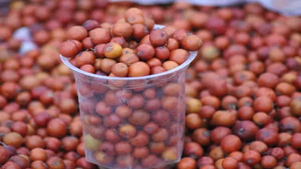 Ber Fruit Benefits: రేగు పళ్లతో అద్భుతమైన ఆరోగ్య ప్రయోజనాలు.. బరువు తగ్గటమే కాదు.. చర్మం ముడతలు మాయం చేస్తుంది..!