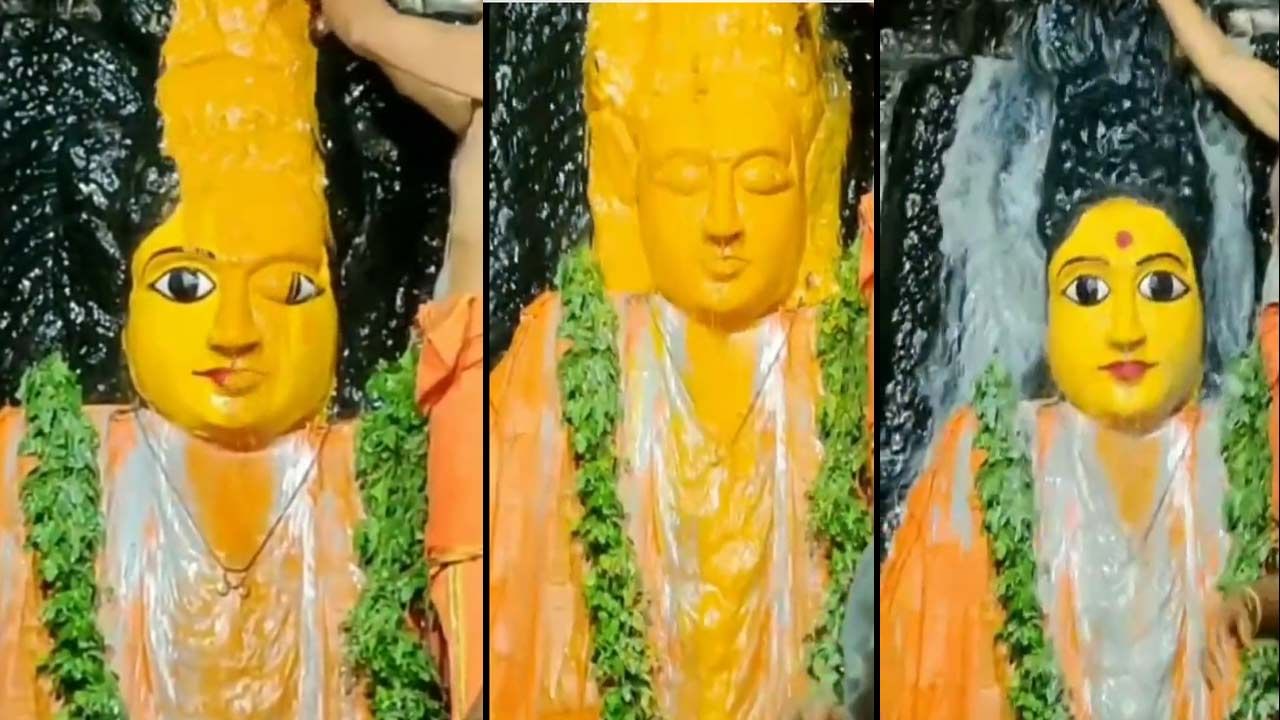 Viral Video: భద్రకాళి అమ్మవారి అభిషేకం వీడియో వైరల్.. నెటిజన్లు ఆసక్తికర కామెంట్స్‌