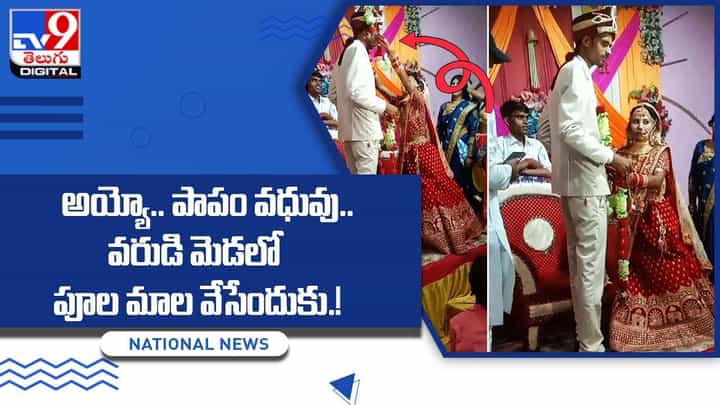 అయ్యో.. పాపం.. వరుడి మెడలో పూల మాల వేసేందుకు వధువు పడిన కష్టం చూస్తే ఆశ్చర్య పోతారు అయ్యో.. పాపం.. వరుడి మెడలో పూల మాల వేసేందుకు వధువు పడిన కష్టం చూస్తే ఆశ్చర్య పోతారు