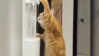 Video Viral: నీ గుండె ధైర్యానికి సలాం బాసూ.. గాల్లో ప్రయాణిస్తున్న విమానం నుంచి అమాంతం కిందికి..