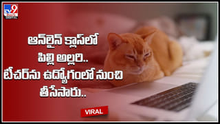Viral Video: సీలింగ్‌వాల్‌లో నక్కిన కొండ చిలువ.. పట్టుకునేందుకు చూడగా దాడికి యత్నం.. చివరకు ఏమైందంటే?