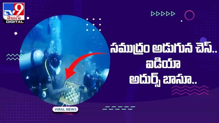 సముద్రం అడుగున చెస్.. ఐడియా అదుర్స్ బాసూ సముద్రం అడుగున చెస్.. ఐడియా అదుర్స్ బాసూ