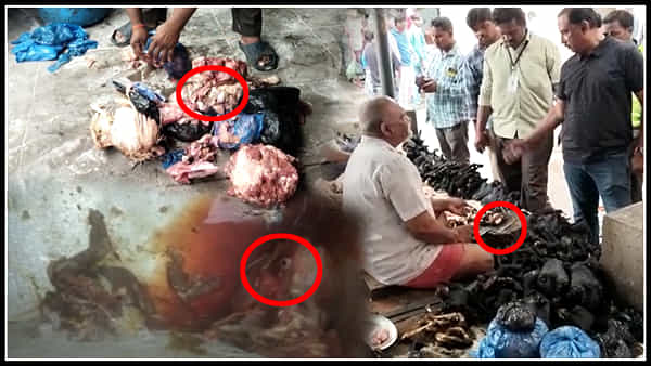 Vijayawada: బెజవాడలో నాన్వెజ్ కొనేవారికి షాకింగ్ న్యూస్.. అధికారులు తనిఖీల్లో భయానక నిజాలు