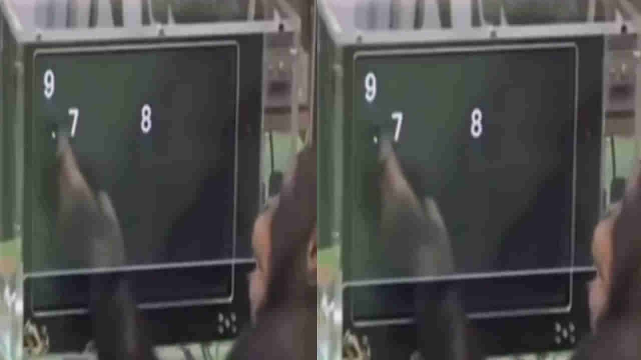 Video Viral: చింపాంజీలు మనుషులకు దగ్గరి సంబంధం.. ఈ వీడియో చూస్తే మీకే అర్థమవుతుంది