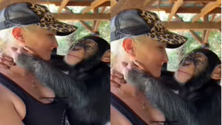 Viral Video: డ్యాన్సులందు ఈ డ్యాన్స్ వేరయా.. ఇలాంటి నృత్యం మీరెప్పుడూ చూసుండరు.. సోషల్ మీడియాలో వైరల్