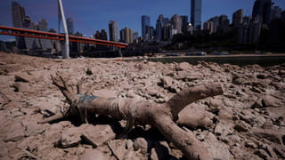 China: చైనాను వీడిని కరోనా భయం.. చేపలు, పీతలకూ వైరస్.. మండిపడుతున్న ప్రజలు