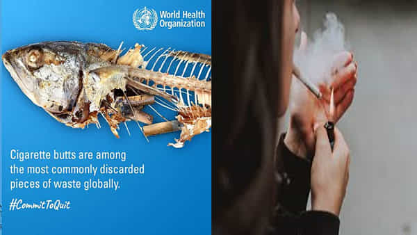 Cigarette: సిగరేట్ పొగలో 7 వేల రసాయనాలు.. నానాటికి పెరుగుతున్న క్యాన్సర్ మరణాలు!