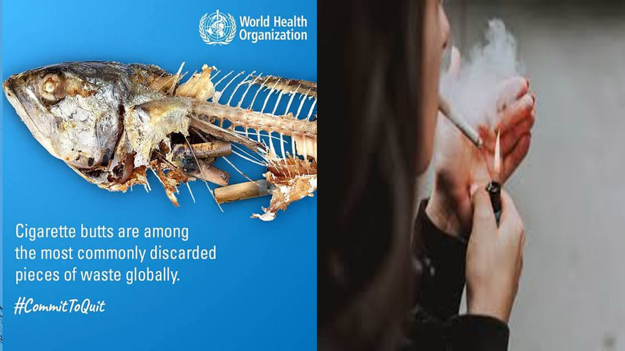 Cigarette: సిగరేట్‌ పొగలో 7 వేల రసాయనాలు.. నానాటికి పెరుగుతున్న క్యాన్సర్ మరణాలు!