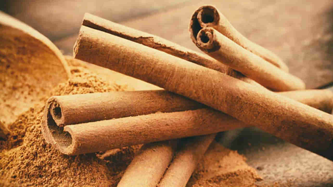 Cinnamon: దాల్చిన చెక్కతో అద్భుత ఆరోగ్య ప్రయోజనాలు.. మధుమేహ బాధితులకు మంచి ఉపశమనం..