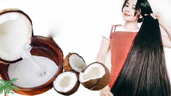Coconut Milk: నిగనిగలాడే ఇలాంటి నల్లటి జుట్టు కావాలా?.. కొబ్బరి పాలతో ప్యాక్ను ఇలా ట్రై చేయండి..
