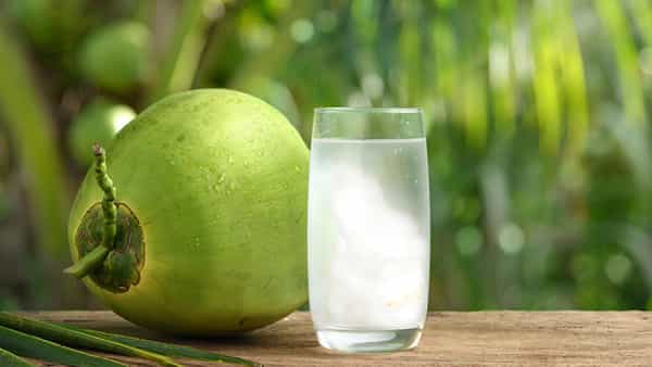 Coconut Water and Diarrhea: డయేరియాతో బాధపడేవారు కొబ్బరి నీళ్లు తాగవచ్చా? ఆరోగ్య నిపుణులు ఏం చెబుతున్నారంటే..