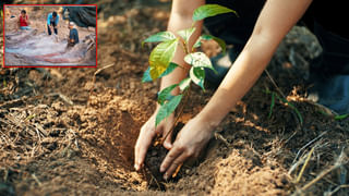 Donald Trump: ట్రంప్‌కు బిగుస్తున్న ఉచ్చు.. ఇంటి నుంచి రహస్య పత్రాల స్వాధీనం.. వెలుగులోకి విస్తుపోయే అంశాలు..