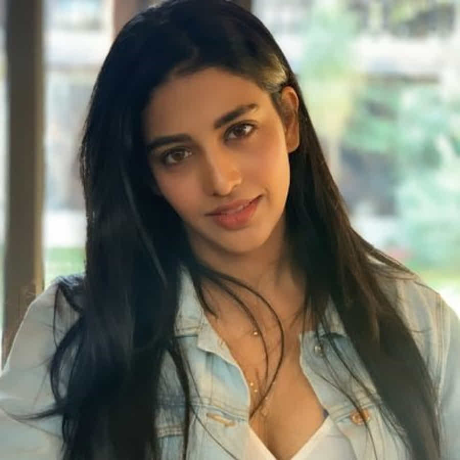 తెలుగులో మరిన్ని అవకాశాల కోసం ఎదురుచూస్తోంది. ఈ బ్యూటీ