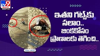 Viral: నల్లపాముతో సరదాగా ఆడుకుంటున్న చిన్నారి..