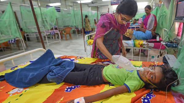 Dengue Fever: భాగ్యనగరంలో డెంగ్యూ డేంజర్ బెల్స్.. డెంగ్యూ వ్యాపించకుండా తీసుకోవాల్సిన జాగ్రత్తలు ఏమిటంటే..