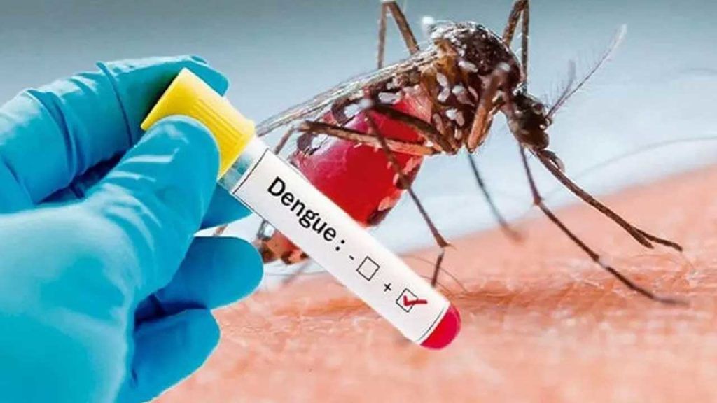 Dengue, Viral Fever