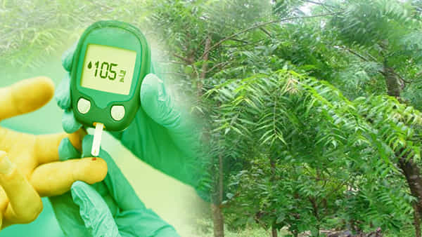 Diabetes: ఈ ఆకుపచ్చ మొక్కలు మధుమేహ వ్యాధిగ్రస్తులకు వరం.. చక్కెర స్థాయిని నియంత్రించే గుణం