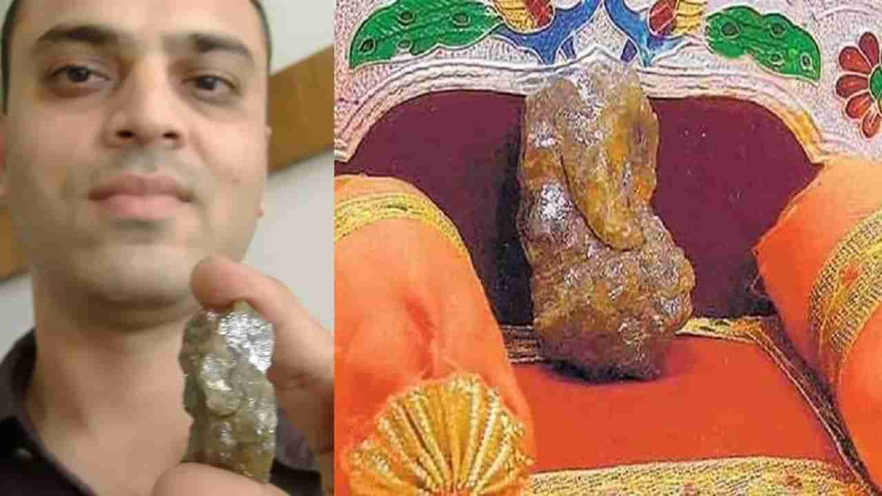 Vinayaka Chavithi: ప్రపంచంలోనే అత్యంత ఖరీదైన వజ్ర వినాయకుడు.. ఆ ఒక్కరోజు మాత్రమే దర్శనం