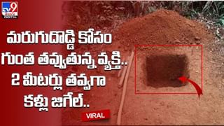 Viral Video: టామ్ అండ్‌ జెర్రీని గుర్తుకు తెచ్చే ఫన్నీ వీడియో.. పిల్లిని పరిగెత్తించిన ఎలుక..భలేగుంది సీన్‌..!