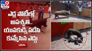 Viral Video: పెళ్లివేడుక్కి పల్లకీలో బదులు.. లెహంగాతో బుల్లెట్ మీద వచ్చిన పెళ్లికూతురు .. వీడియో వైరల్