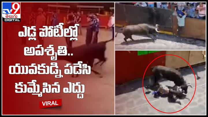 Bull attack: ఎడ్ల పోటీల్లో అపశృతి.. యువకుడ్ని పడేసి కుమ్మేసిన ఎద్దు.. ఈ షాకింగ్ వీడియో చూసి నెటిజన్స్ రియాక్షన్.. Bull attack: ఎడ్ల పోటీల్లో అపశృతి.. యువకుడ్ని పడేసి కుమ్మేసిన ఎద్దు.. ఈ షాకింగ్ వీడియో చూసి నెటిజన్స్ రియాక్షన్..