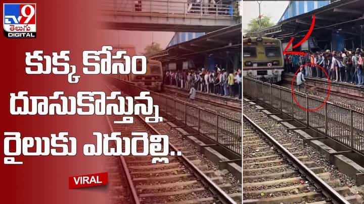 దూసుకొస్తున్న రైలుకు ఎదురెళ్లి కుక్కను కాపాడిన వ్యక్తి !! వ్యక్తిపై ప్రశంసలు కురిపిస్తున్న నెటిజన్లు దూసుకొస్తున్న రైలుకు ఎదురెళ్లి కుక్కను కాపాడిన వ్యక్తి !! వ్యక్తిపై ప్రశంసలు కురిపిస్తున్న నెటిజన్లు