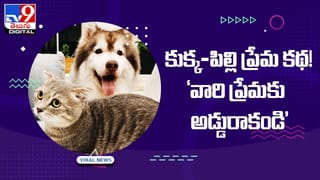 మన స్టైలే వేరప్ప.. కిందపడ్డా.. లేచి డ్యాన్స్.. బుడ్డొడి కాన్ఫిడెన్స్‏కు నెటిజన్లు ఫిదా