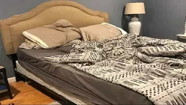 Optical Illusion: మీకో సవాల్.. ఈ ఫొటోలో కుక్క దాగుంది భయ్యా.. ఓసారి ట్రై చేసి చూడండి..