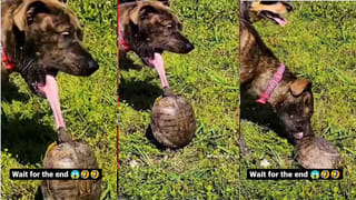 Video Viral: వేగంగా వస్తున్న లోకల్ ట్రైన్.. పట్టాలపై మహిళ పరుగులు.. ఆ తర్వాతే అసలైన ట్విస్ట్