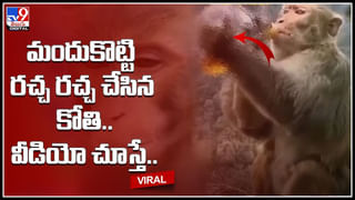 Viral Video: ఆలయ పునర్నిర్మాణం కోసం తవ్వకాలు జరపుతుండగా బయటపడిన అద్భుతం.. ఎక్సక్లూసివ్ వీడియో.