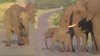 Viral: ఖైదీకి ముద్దుపెట్టిన మహిళ.. కట్ చేస్తే సీన్ రివర్స్.. చివరకు ఏం జరిగిందో తెలిస్తే మైండ్ బ్లాంక్!